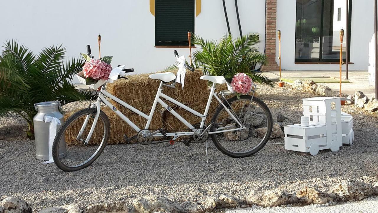 Alojamiento Rural El Chaparral Setenil De Las Bodegas Luaran gambar
